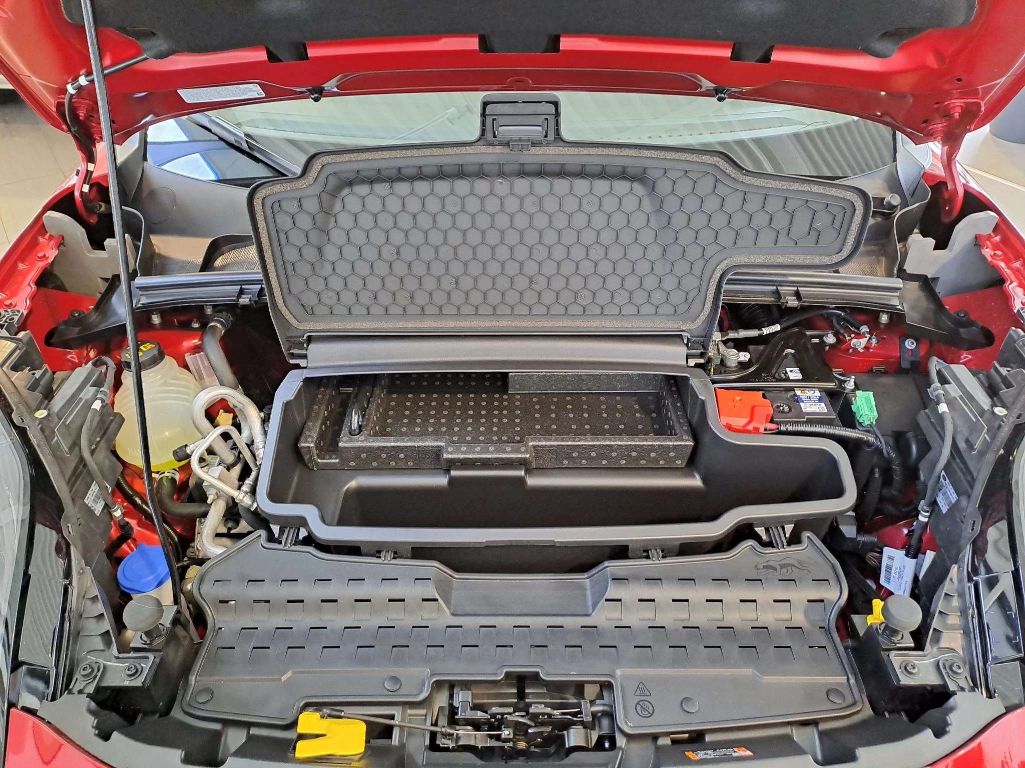 Ford-Puma Gen-E-image-8