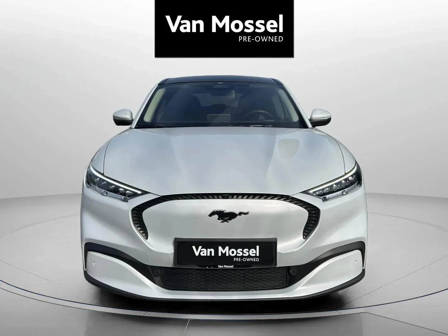 Ford-Mustang Mach-E-image-1