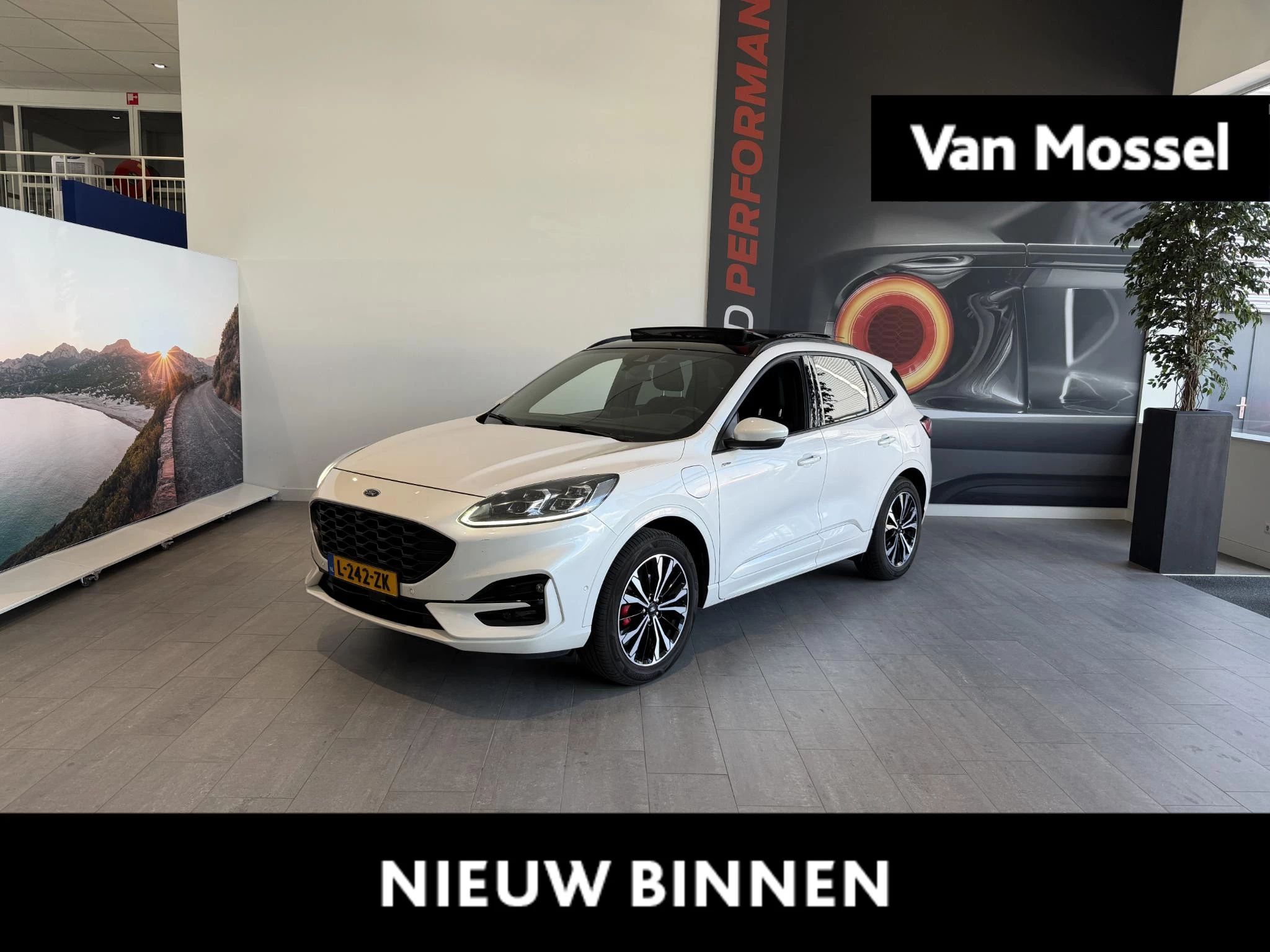 Ford-Kuga-image-0