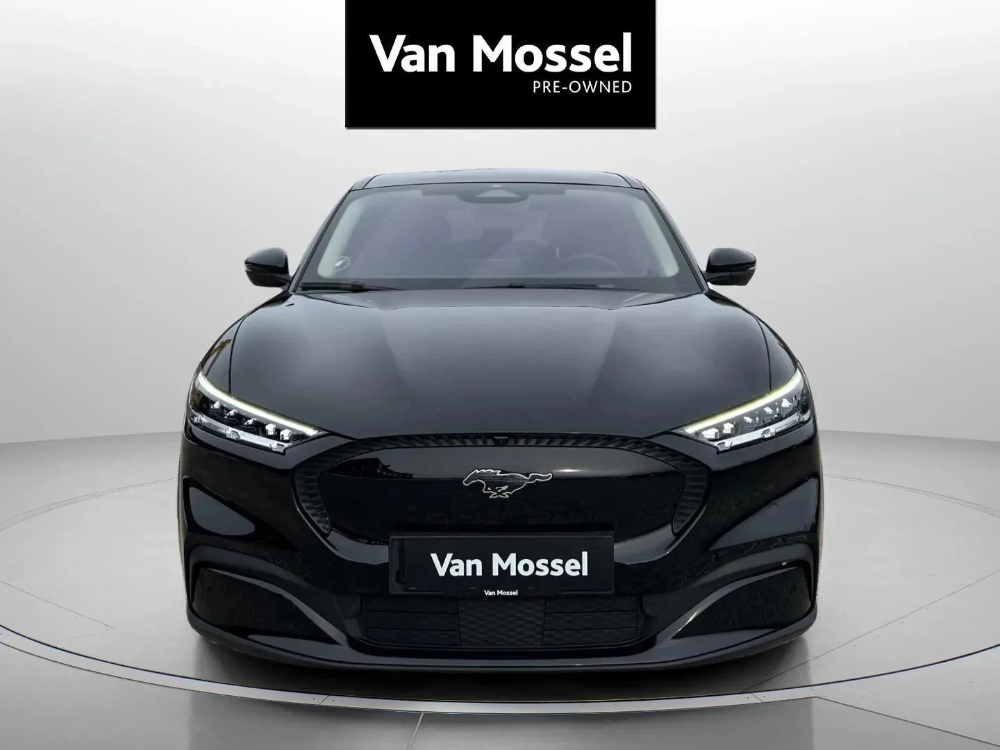 Ford-Mustang Mach-E-image-1