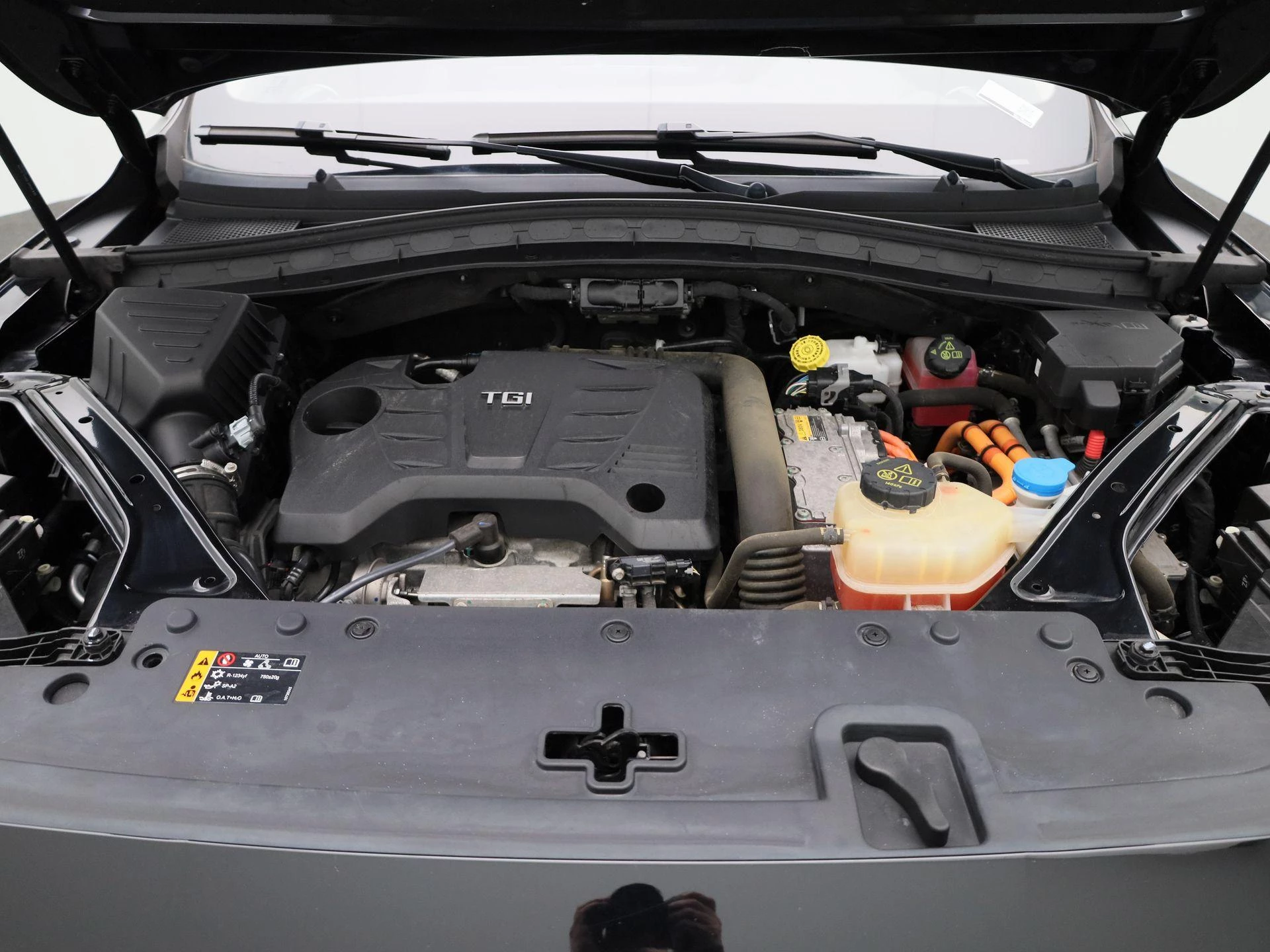 MG-EHS-image-36