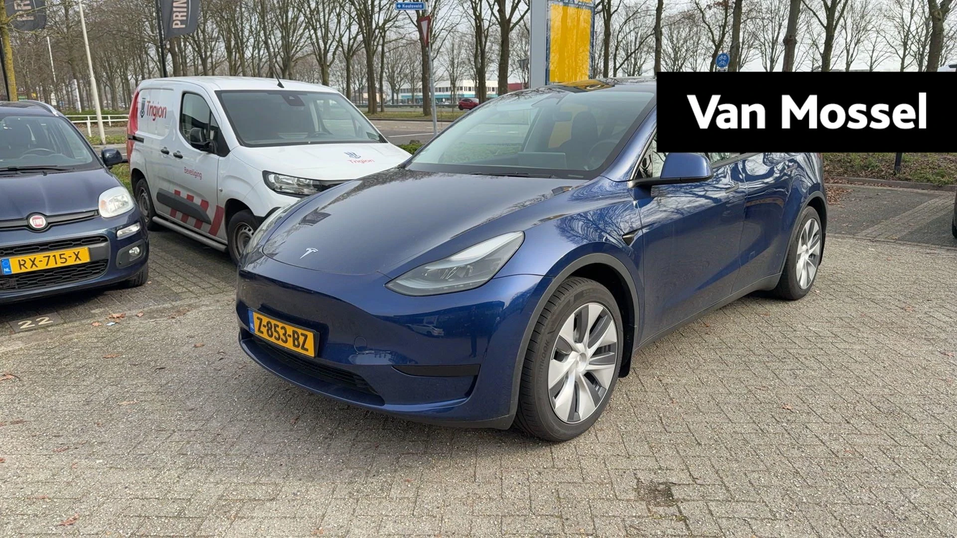 Tesla-Model Y-image-0