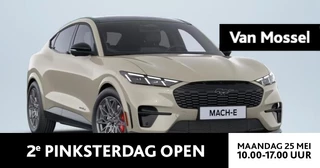 Ford Mustang Mach-E GT Extended AWD 91 kWh