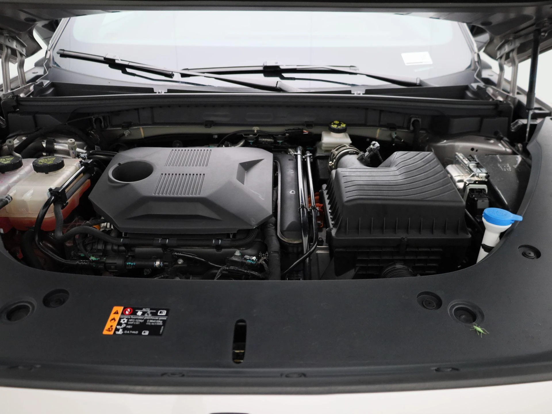 MG-HS-image-35