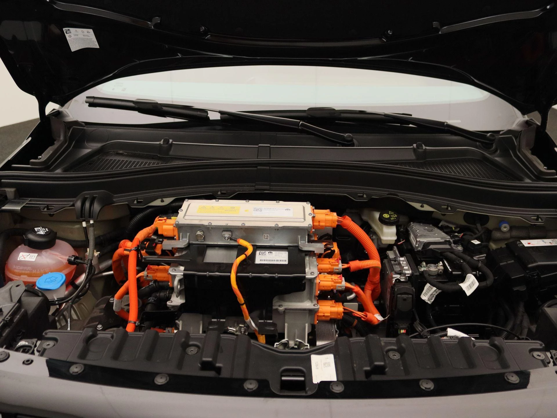 Fiat-Grande Panda-image-25