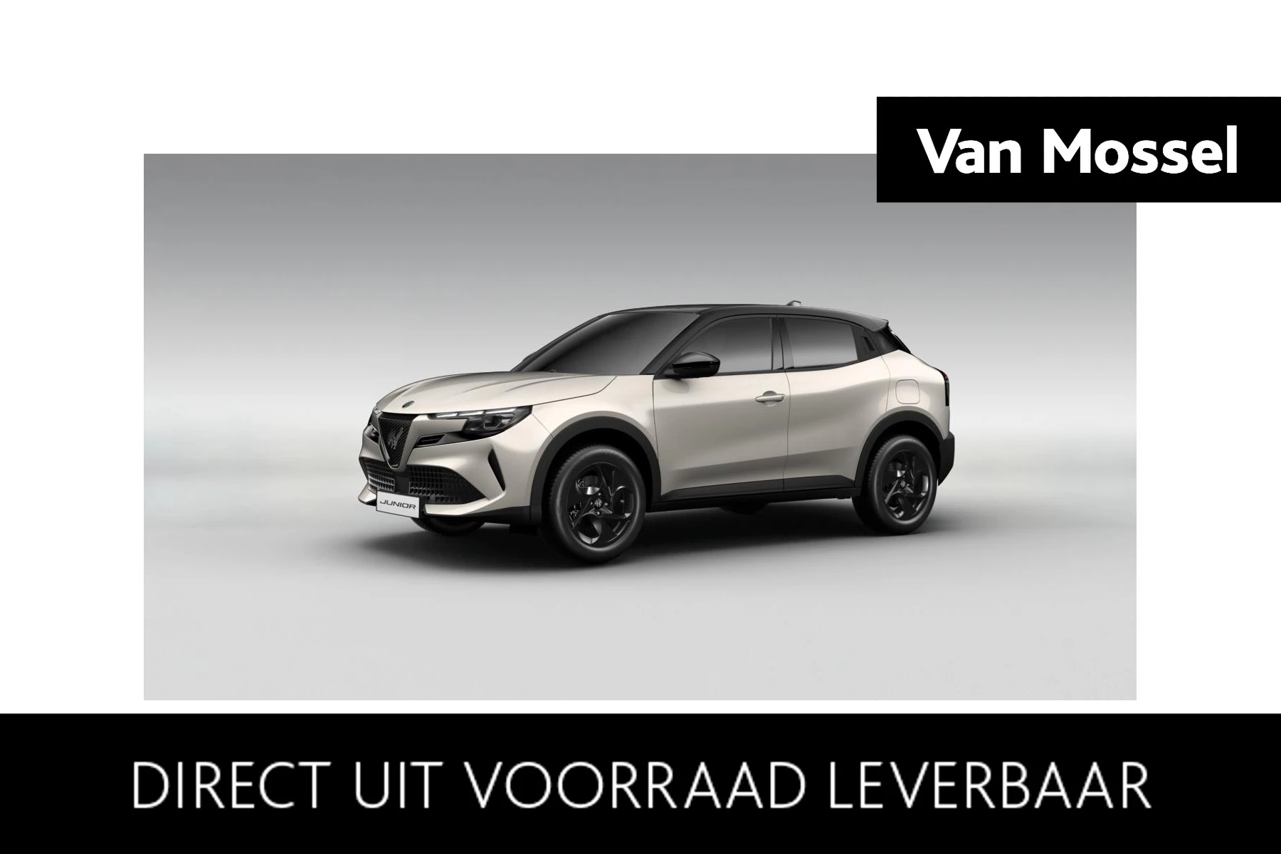 Alfa Romeo-Junior-image-0