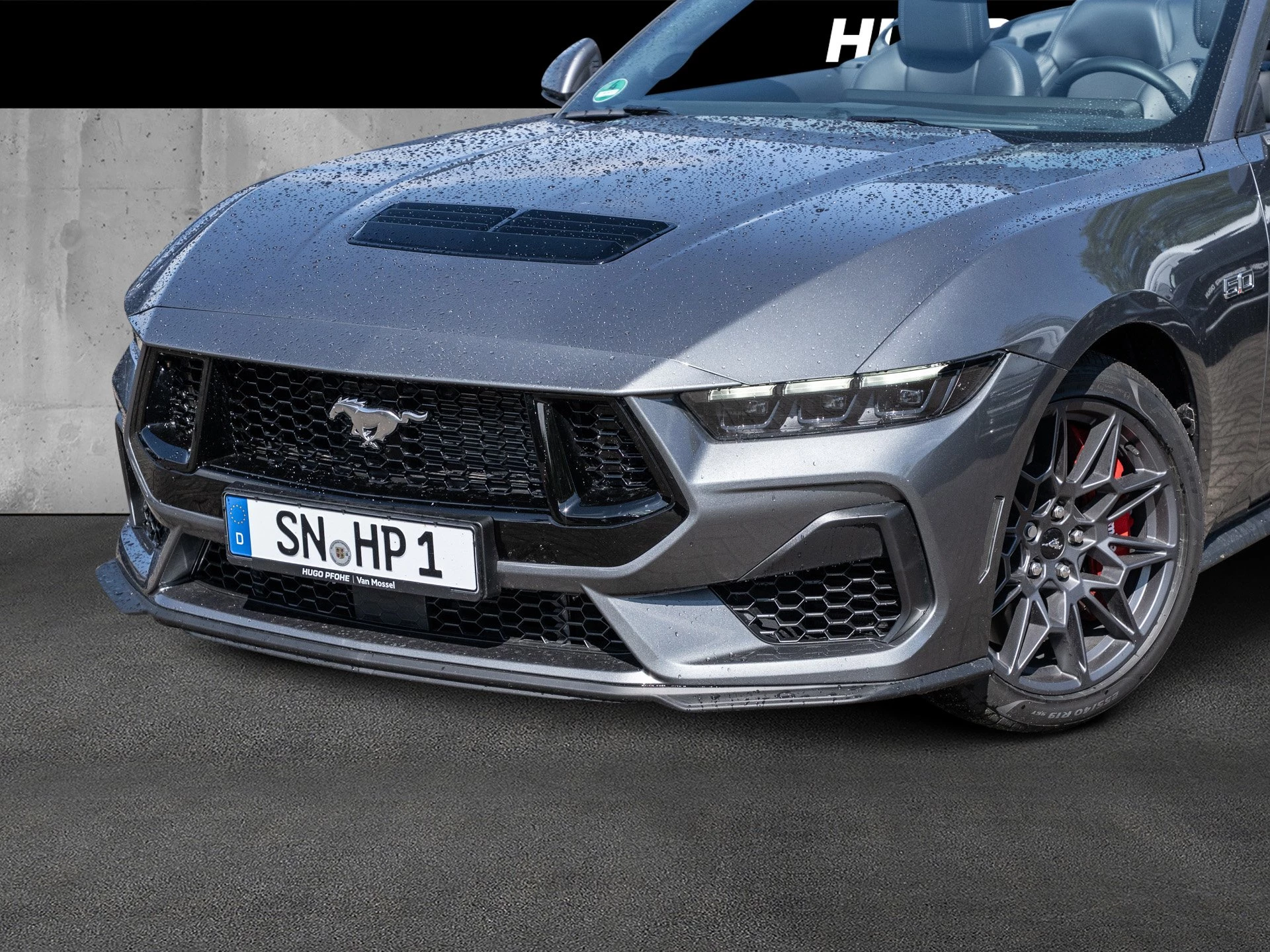 Ford Mustang GT 5.0 Ti-VCT V8 Auto Cabriolet. 328 kW. 2-türig