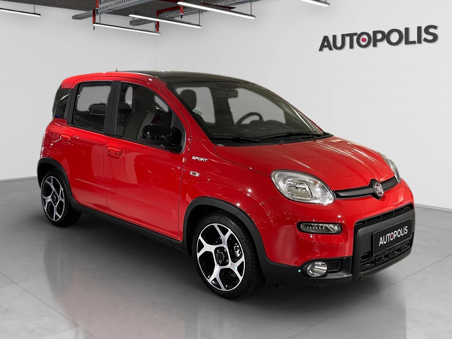Fiat-Panda-image-18