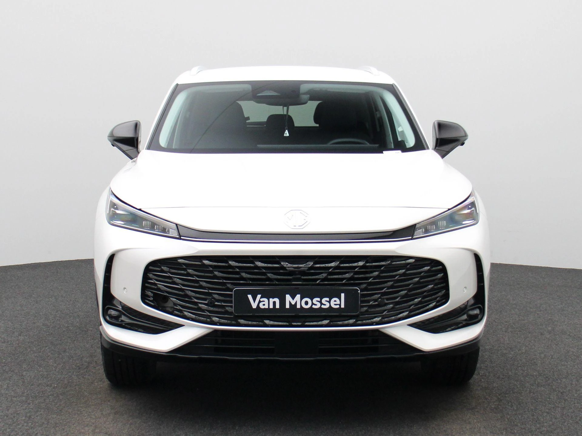 MG-HS-image-2