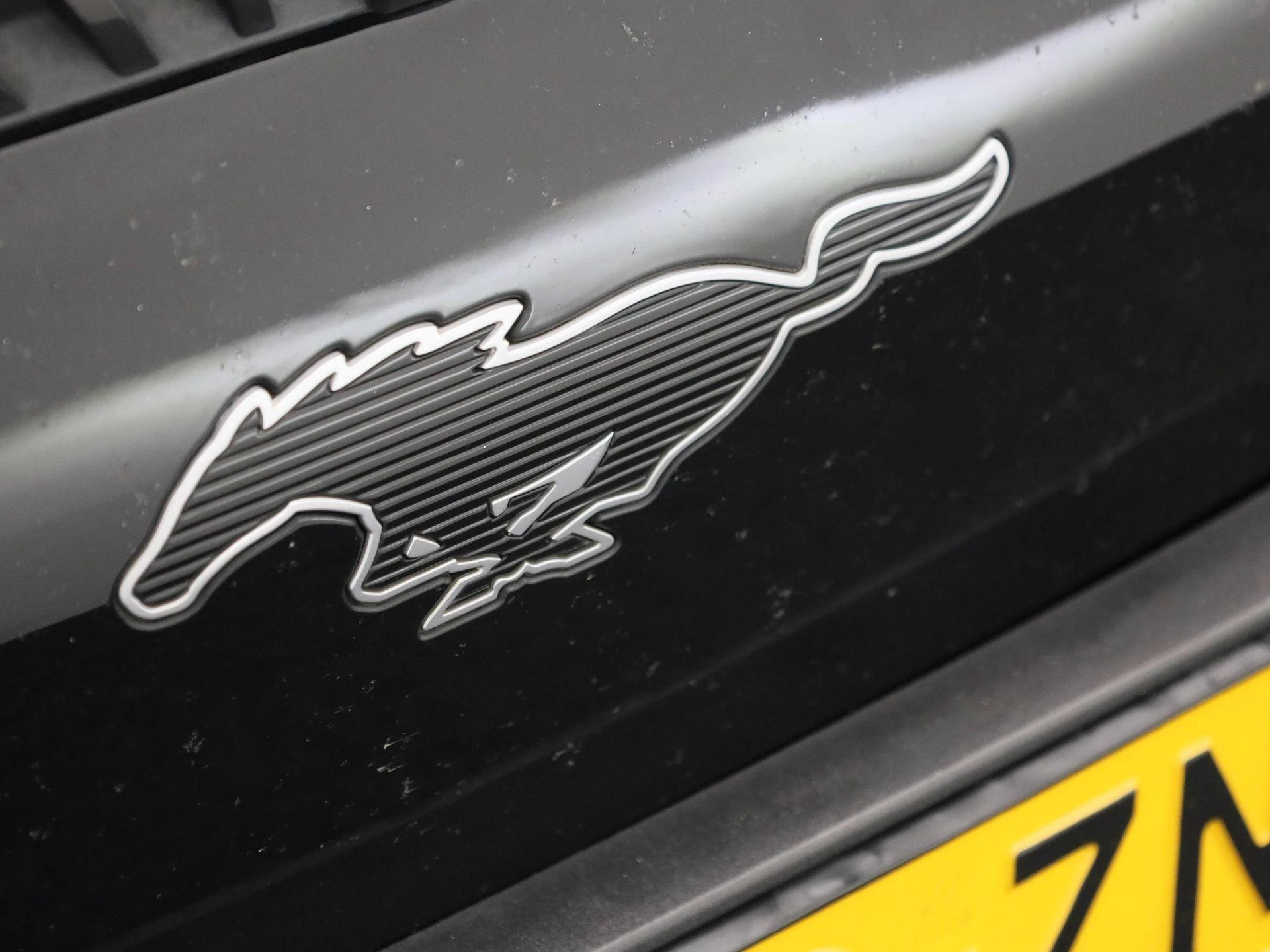 Ford-Mustang Mach-E-image-42