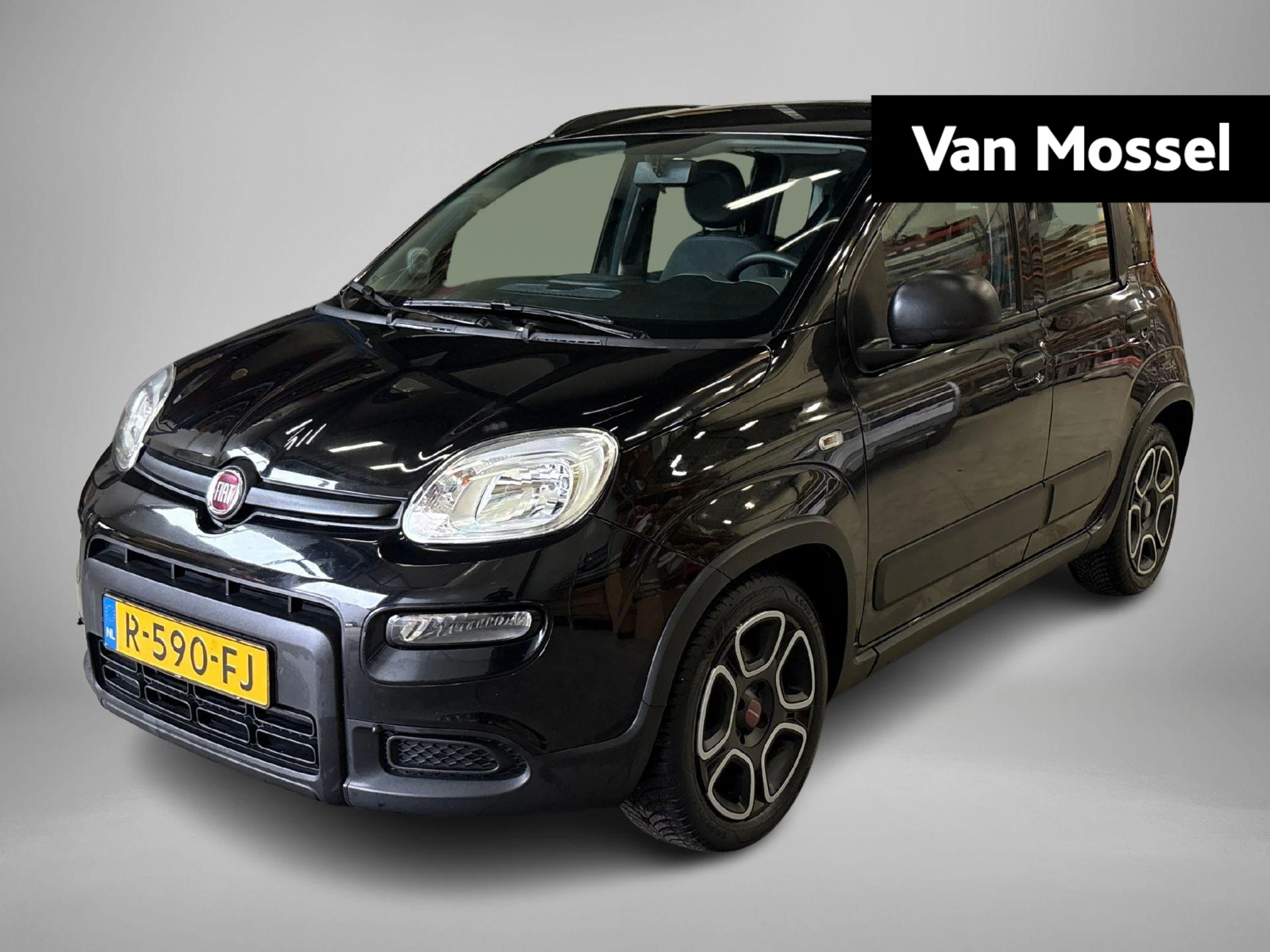 Fiat-Panda-image-0