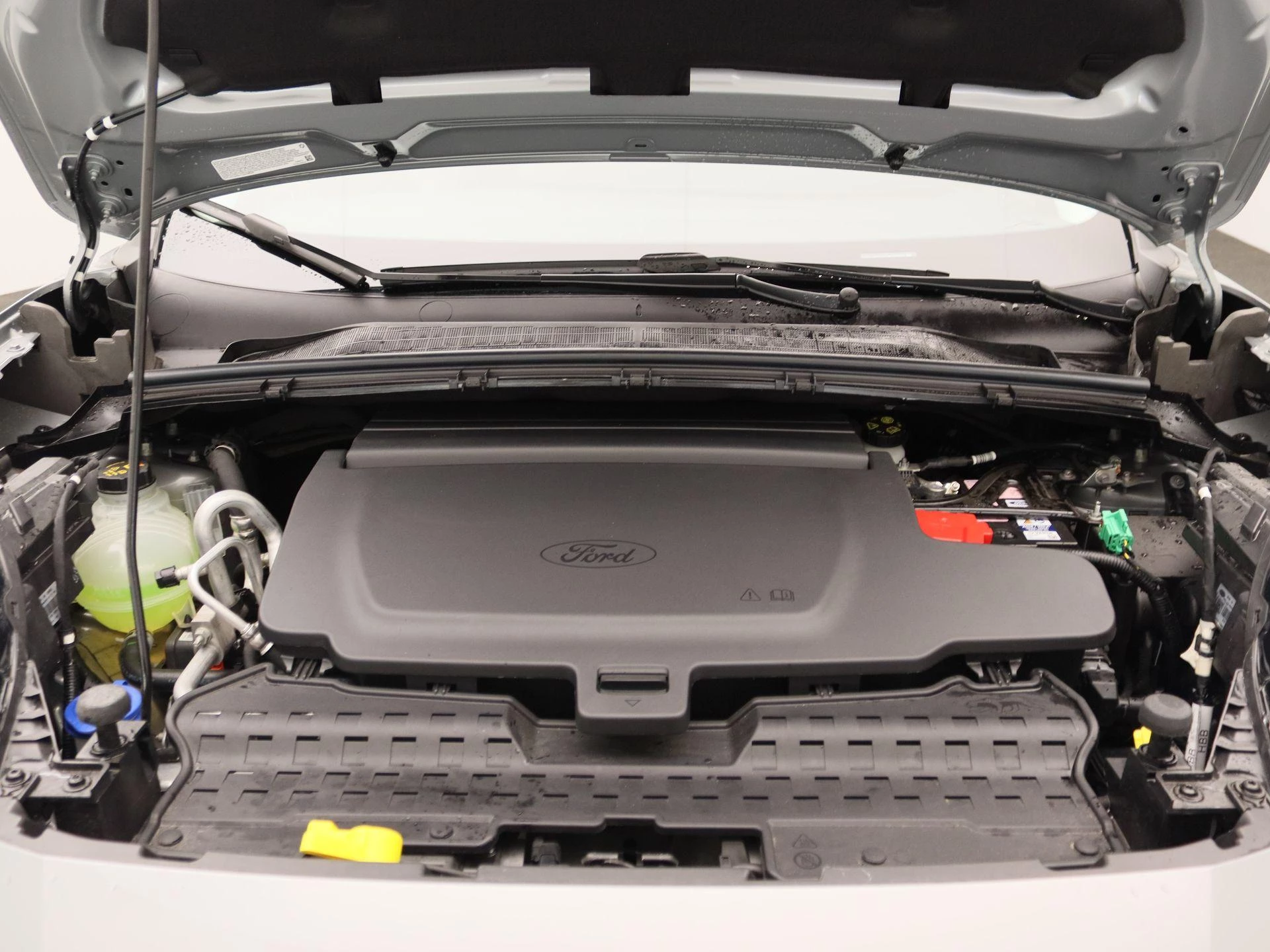 Ford-Puma Gen-E-image-27