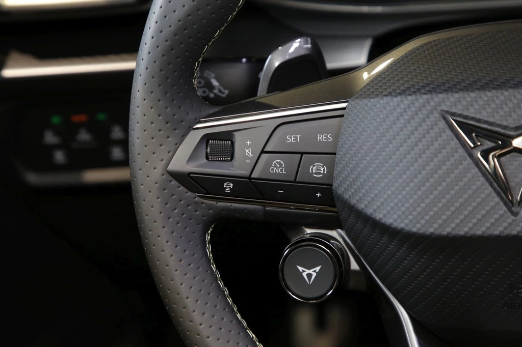 CUPRA Formentor VZ Tribe Ed. 2.0 TSI UPE 66.160 Matrix