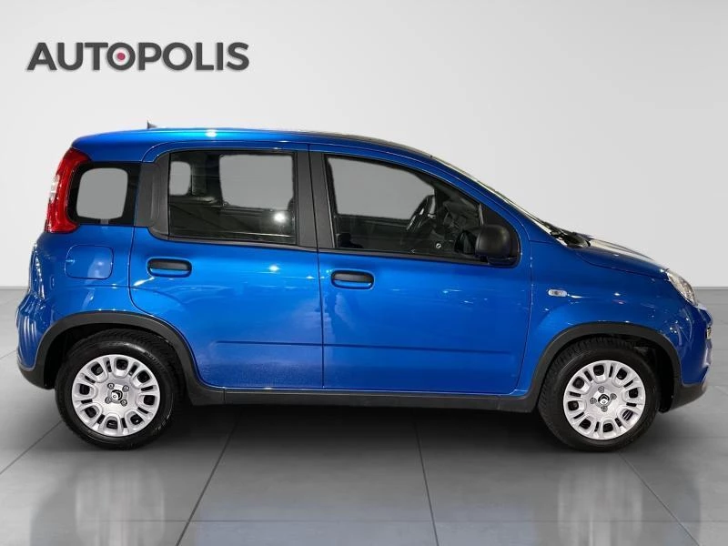 Fiat-Panda-image-15