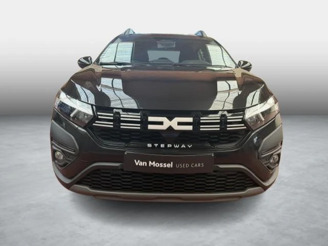 Dacia-Sandero Stepway-image-1