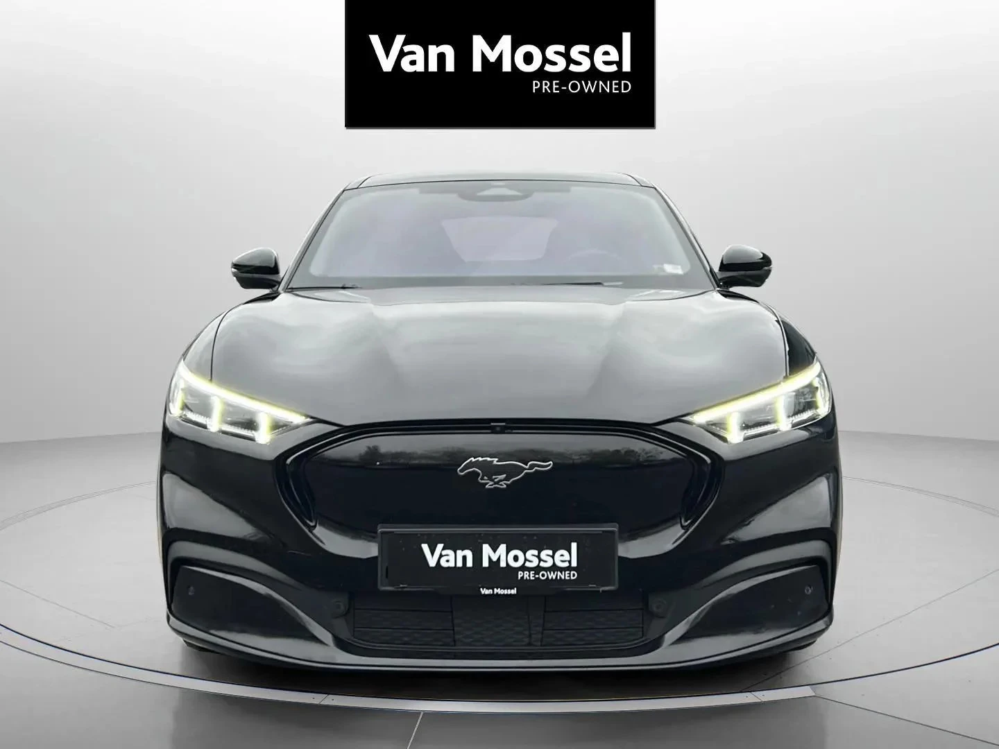 Ford-Mustang Mach-E-image-1