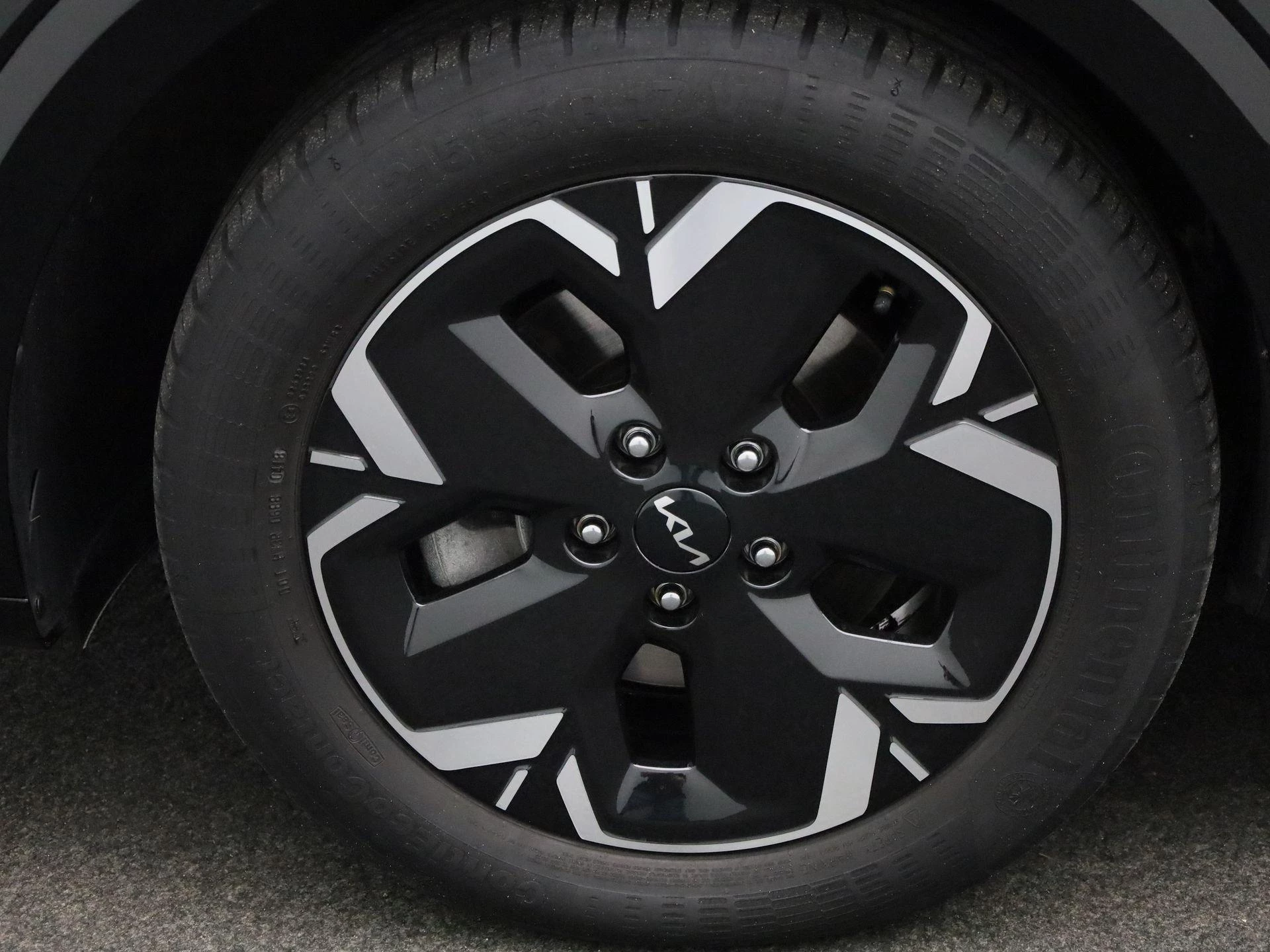 Kia-Niro EV-image-12