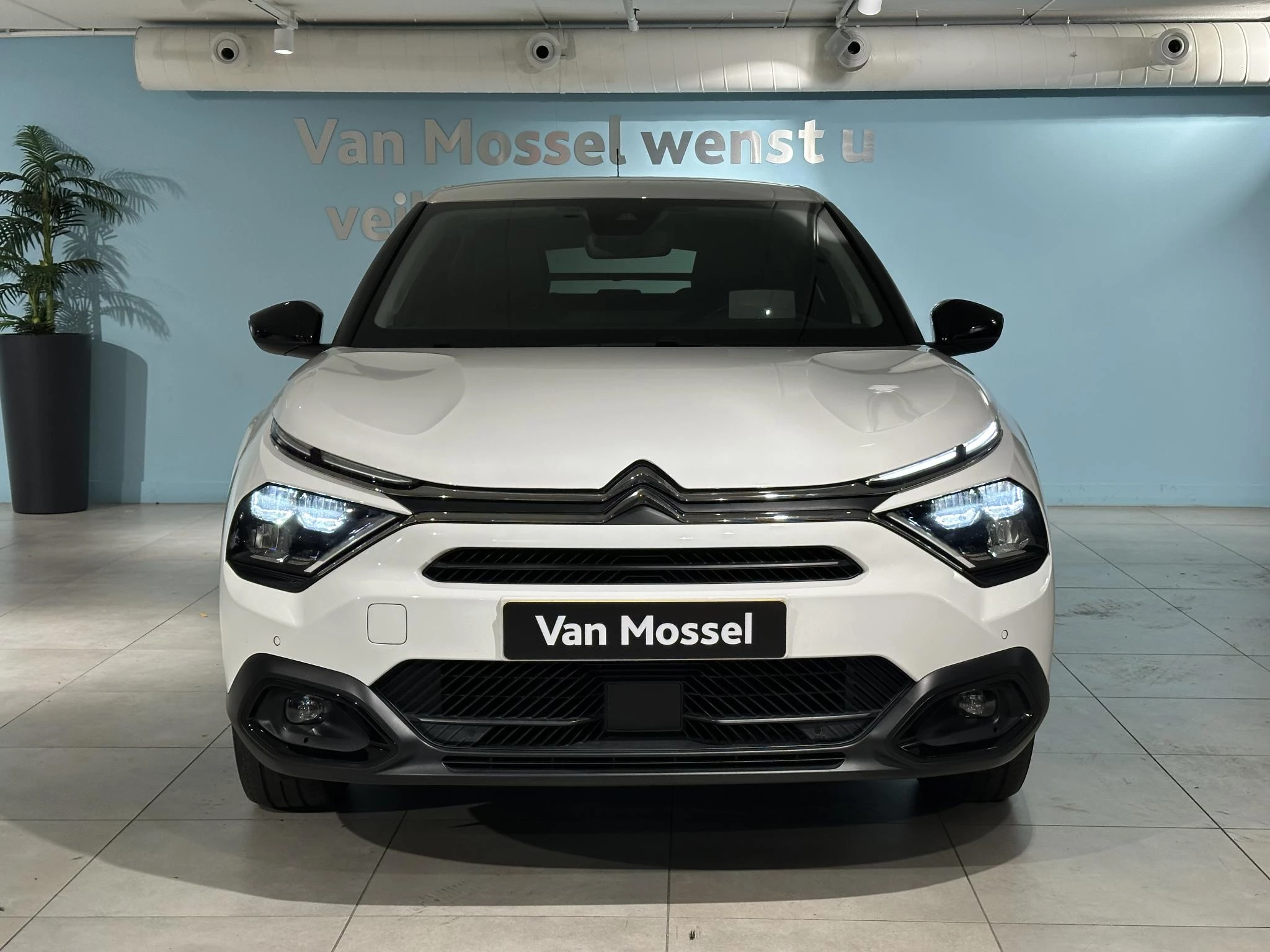 Citroën ë-C4 Feel Pack 50 kWh