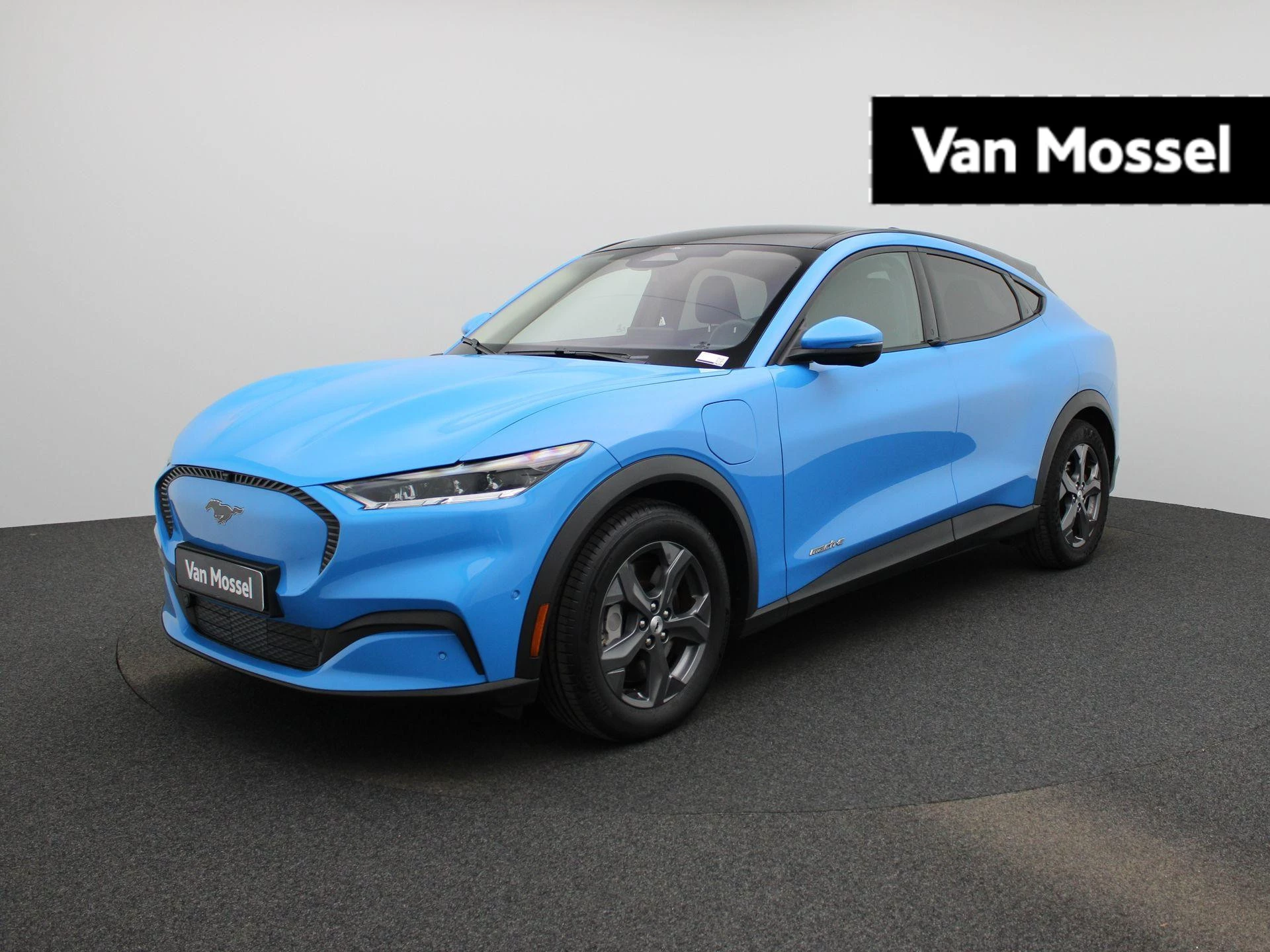 Ford-Mustang Mach-E-image-0