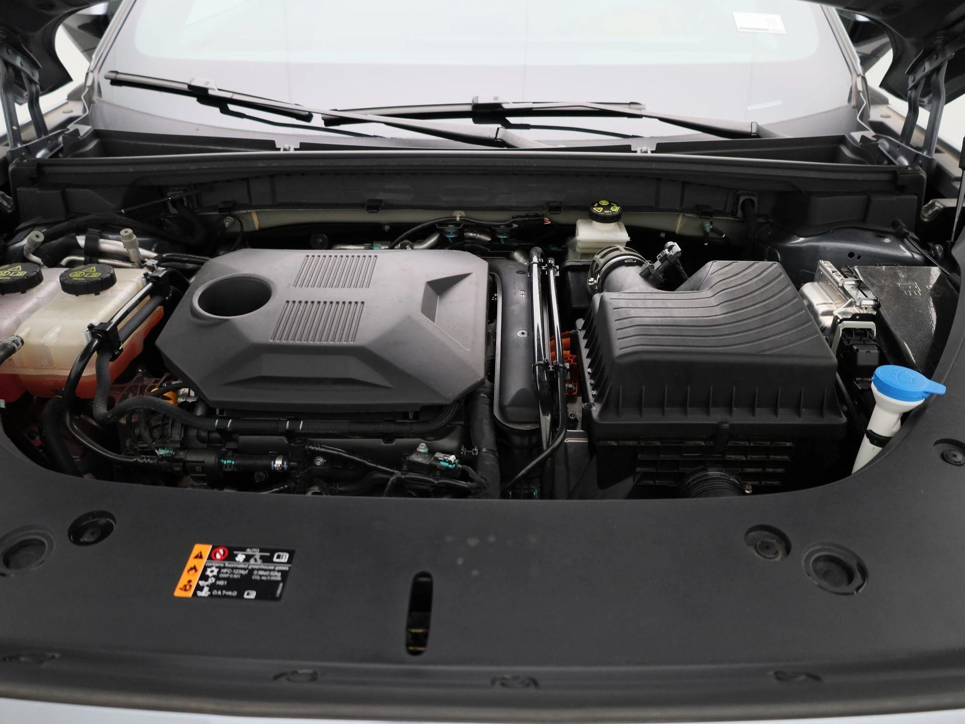 MG-HS-image-36