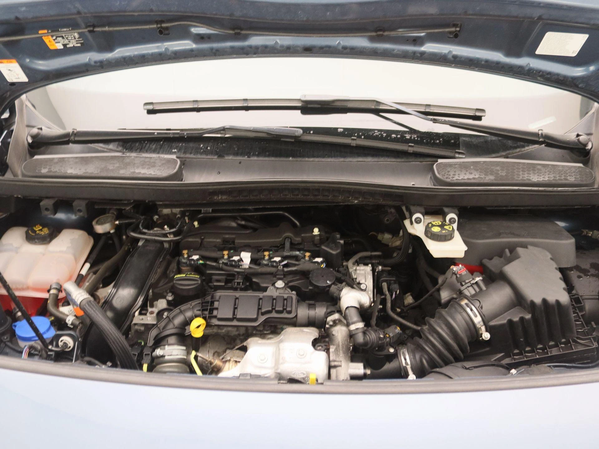 Ford-Transit Connect-image-24