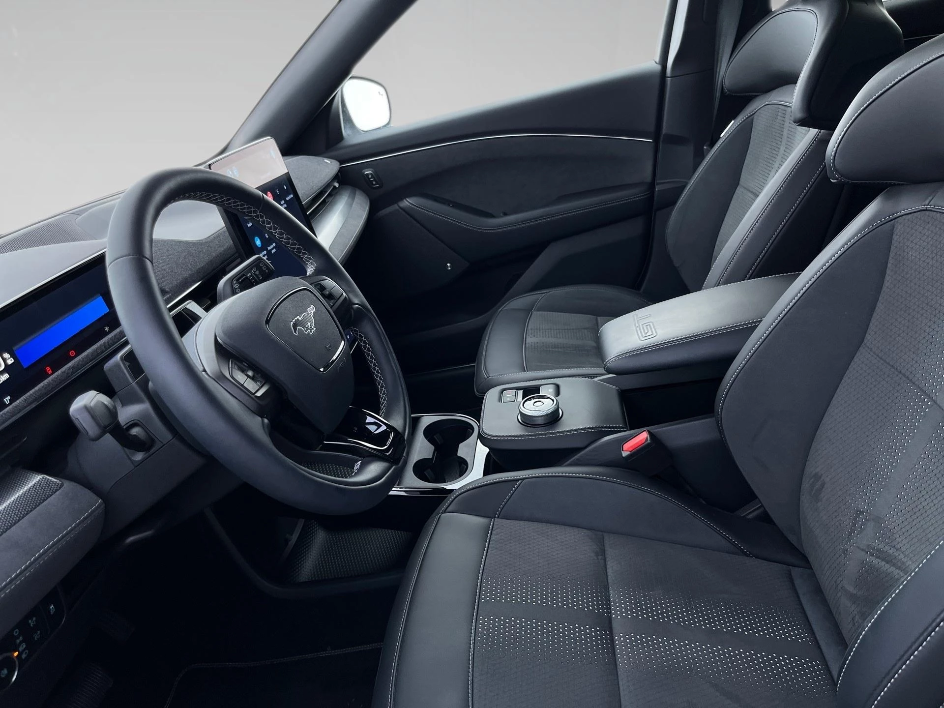 Ford-Mustang Mach-E-image-5