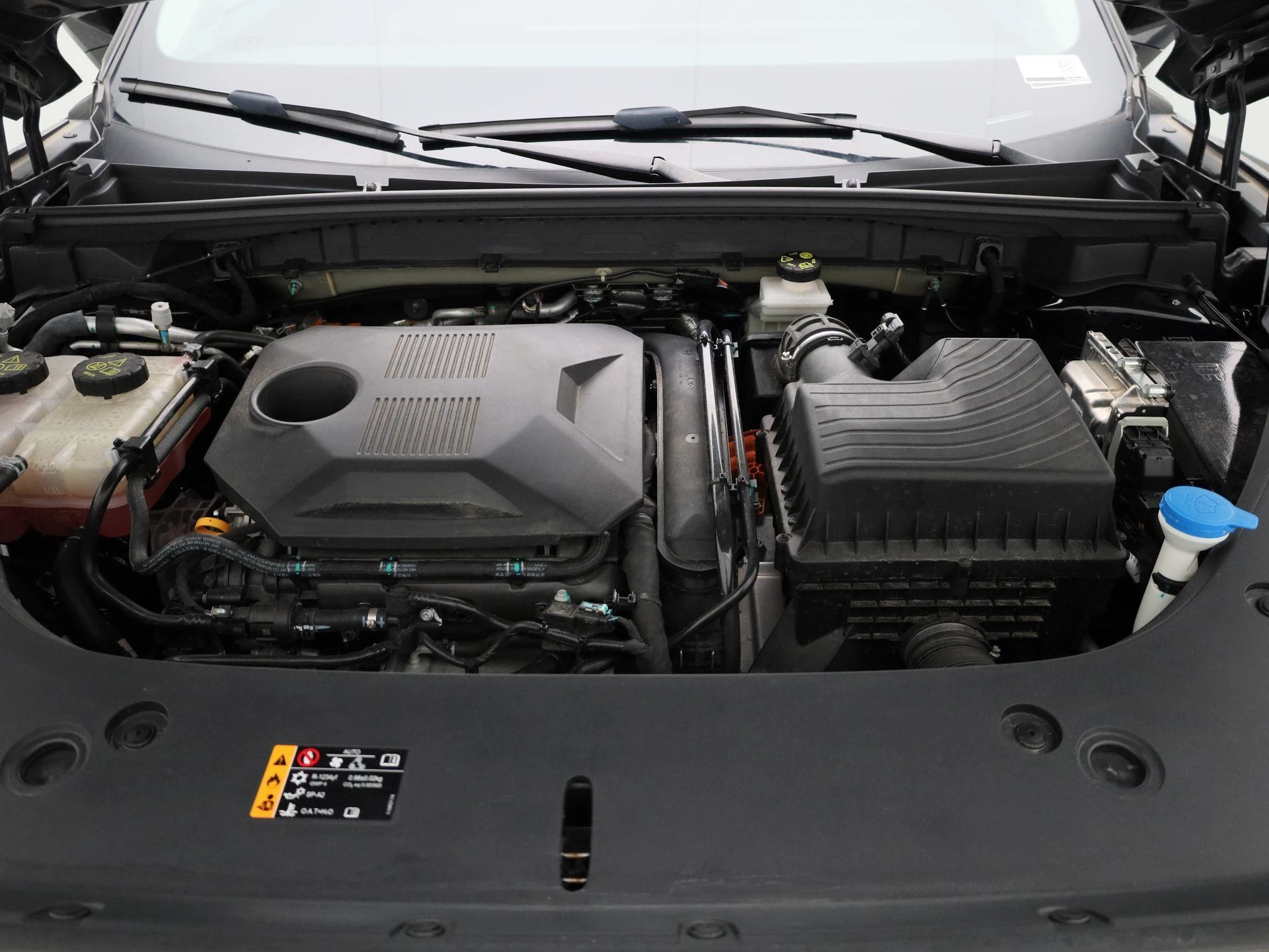 MG-HS-image-36