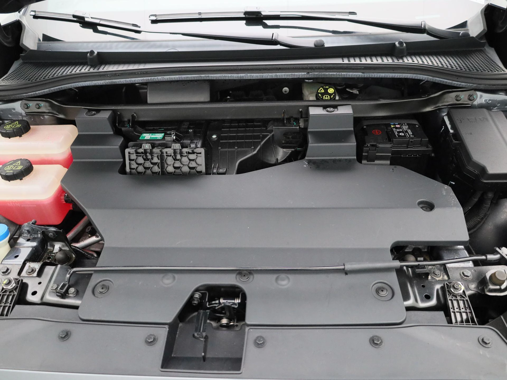 MG-MG4 EV-image-31