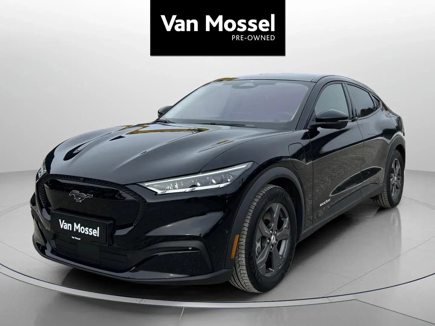 Ford-Mustang Mach-E-image-0