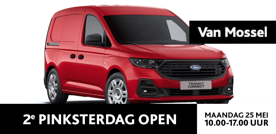 Ford-Transit Connect-image-0