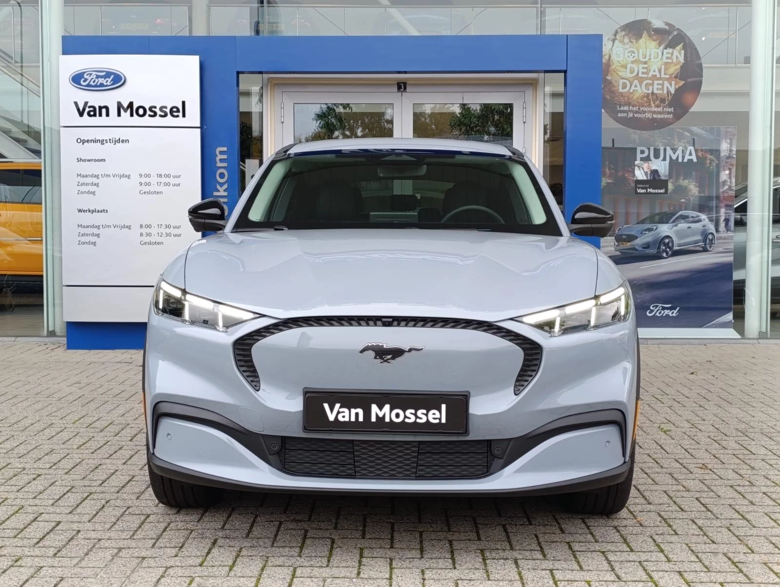 Ford-Mustang Mach-E-image-2