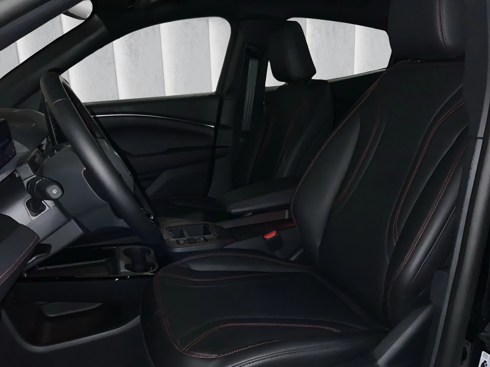 Ford-Mustang Mach-E-image-9