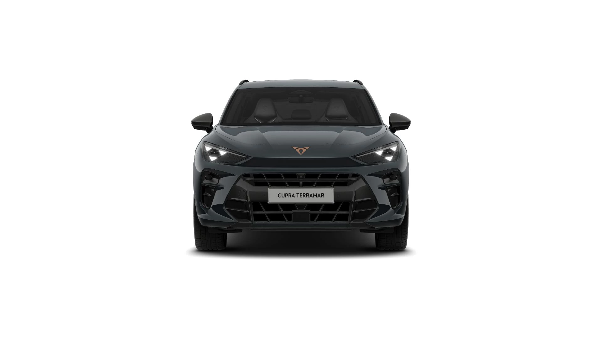 CUPRA Terramar Business