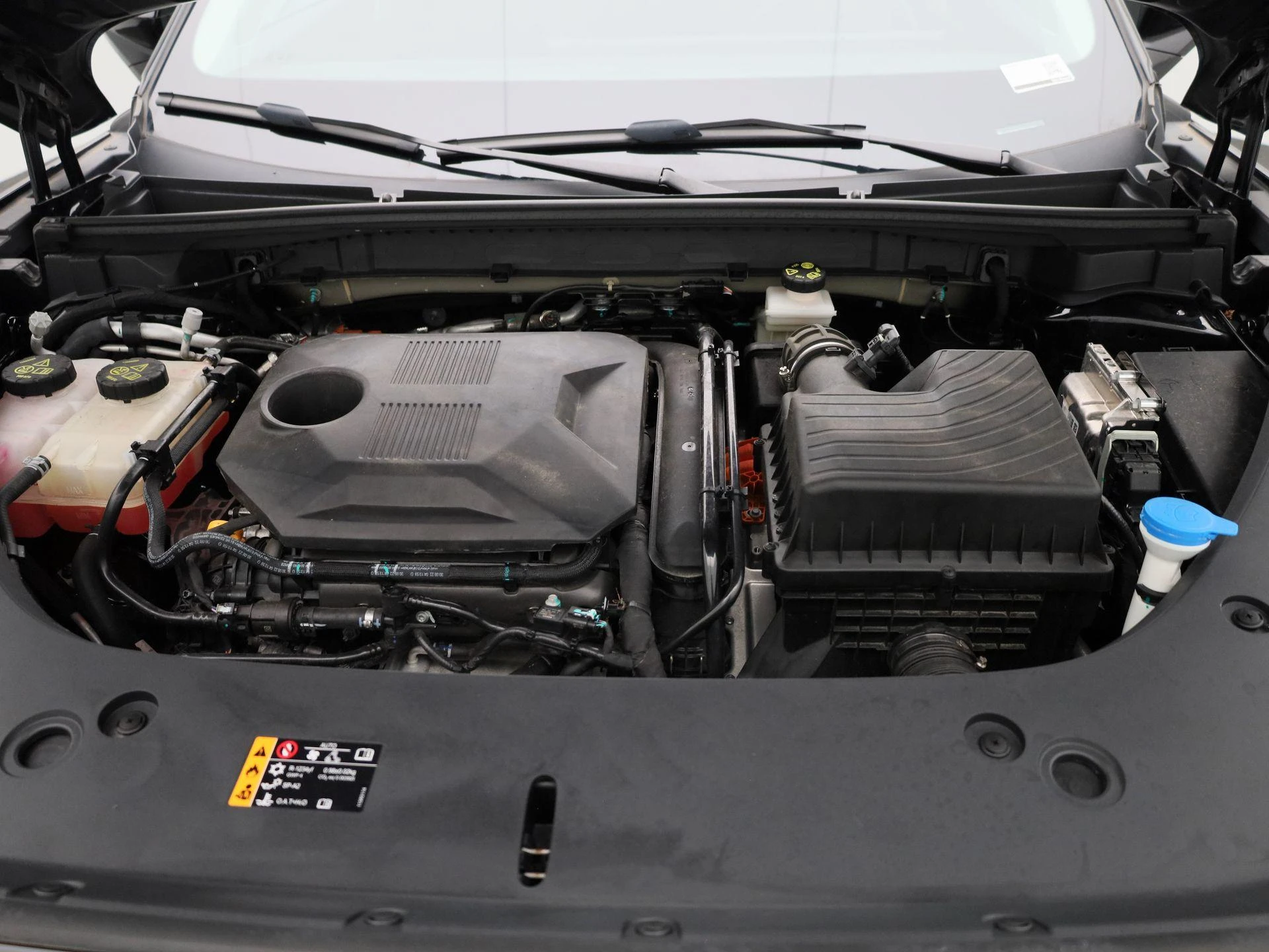 MG-HS-image-38