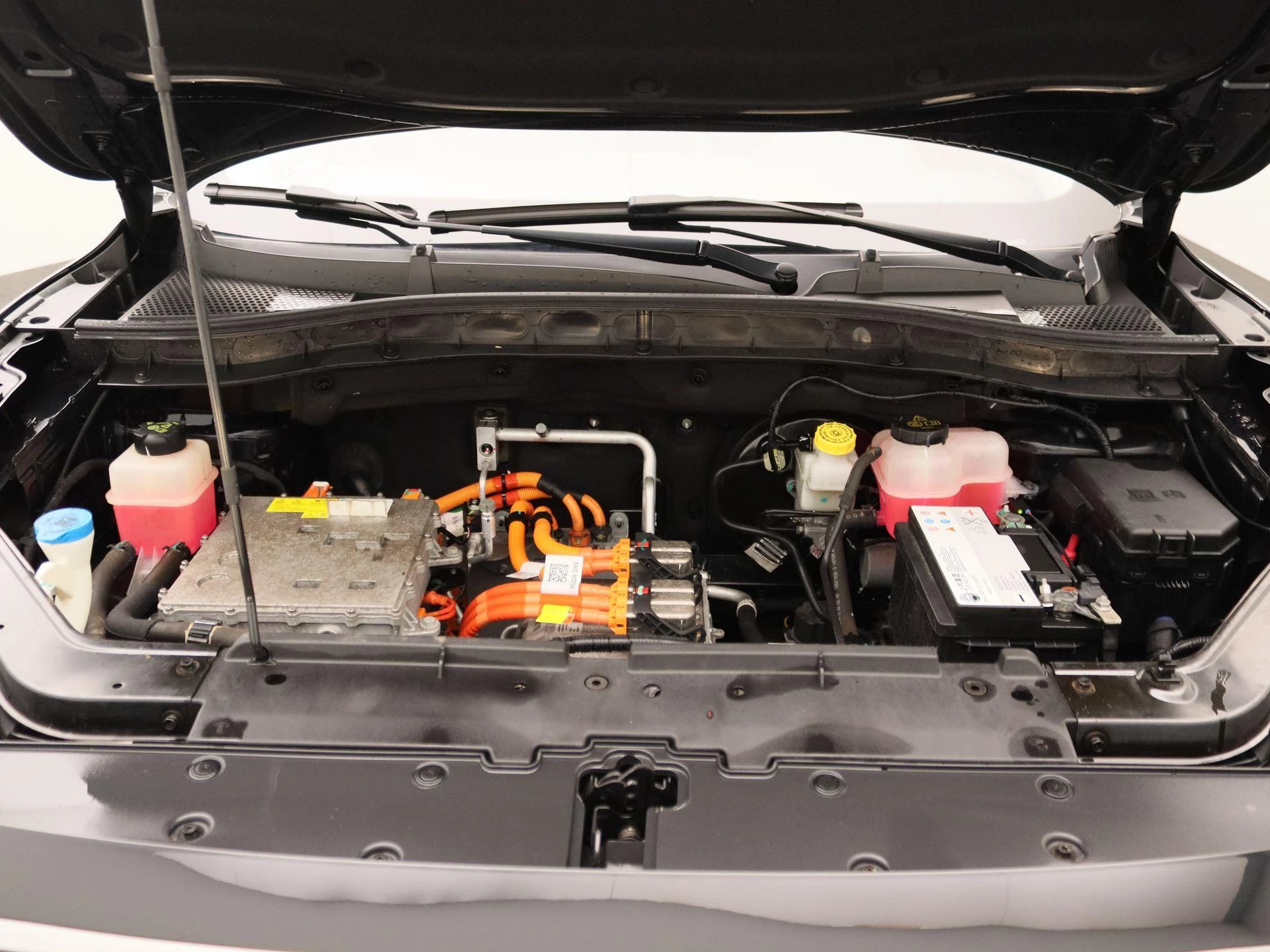 MG-ZS EV-image-26