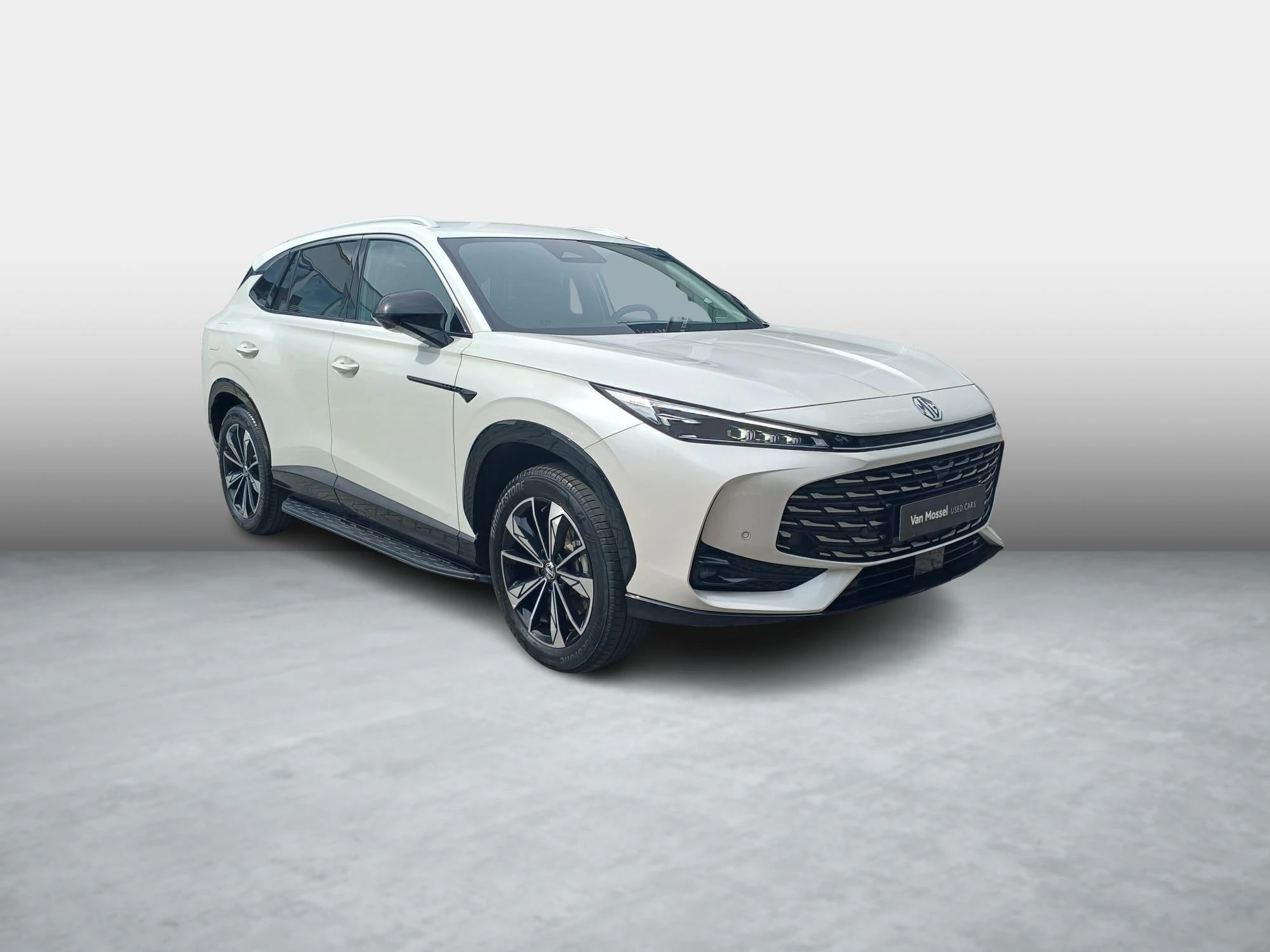 MG-HS-image-9