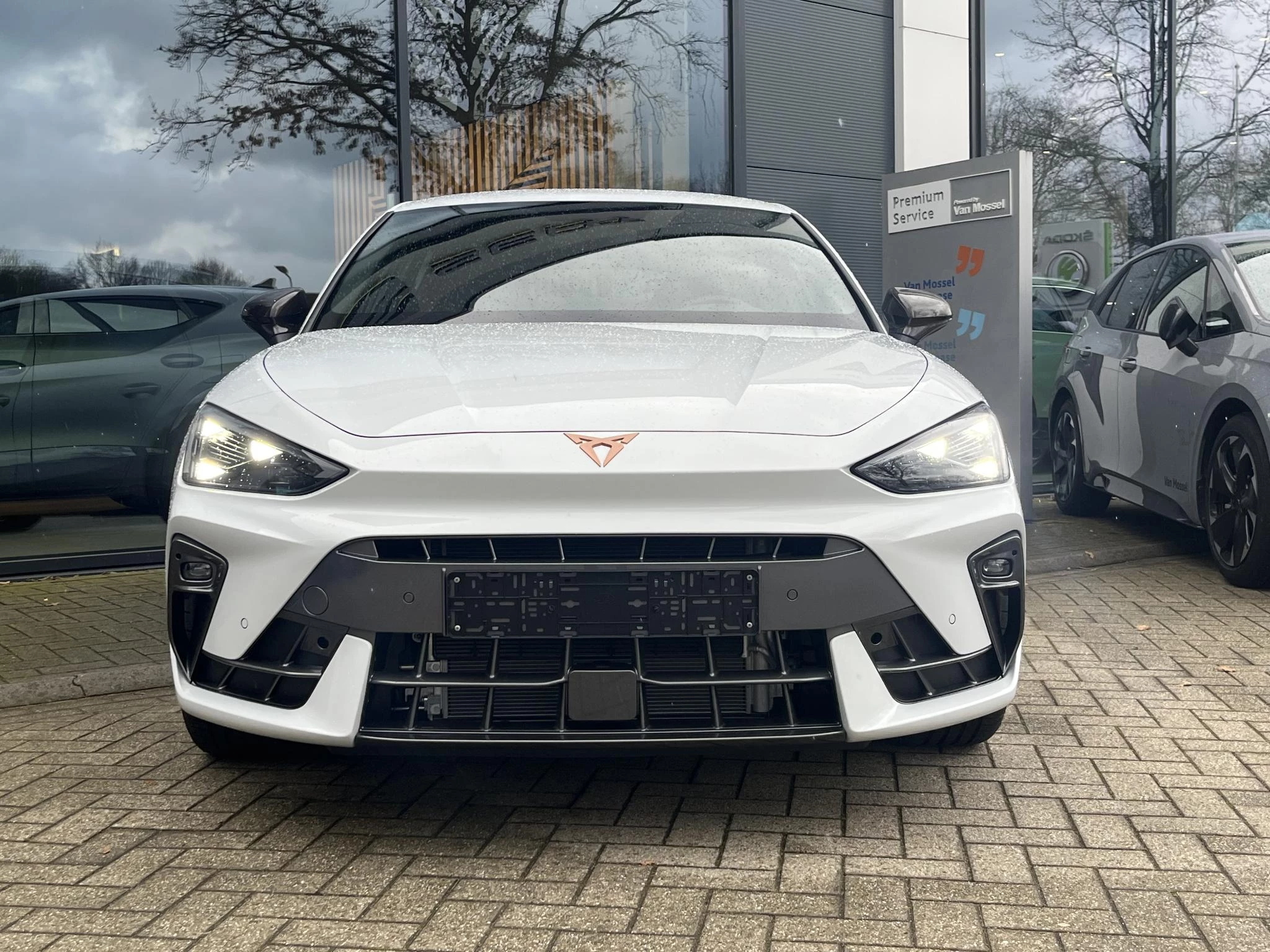 Cupra León