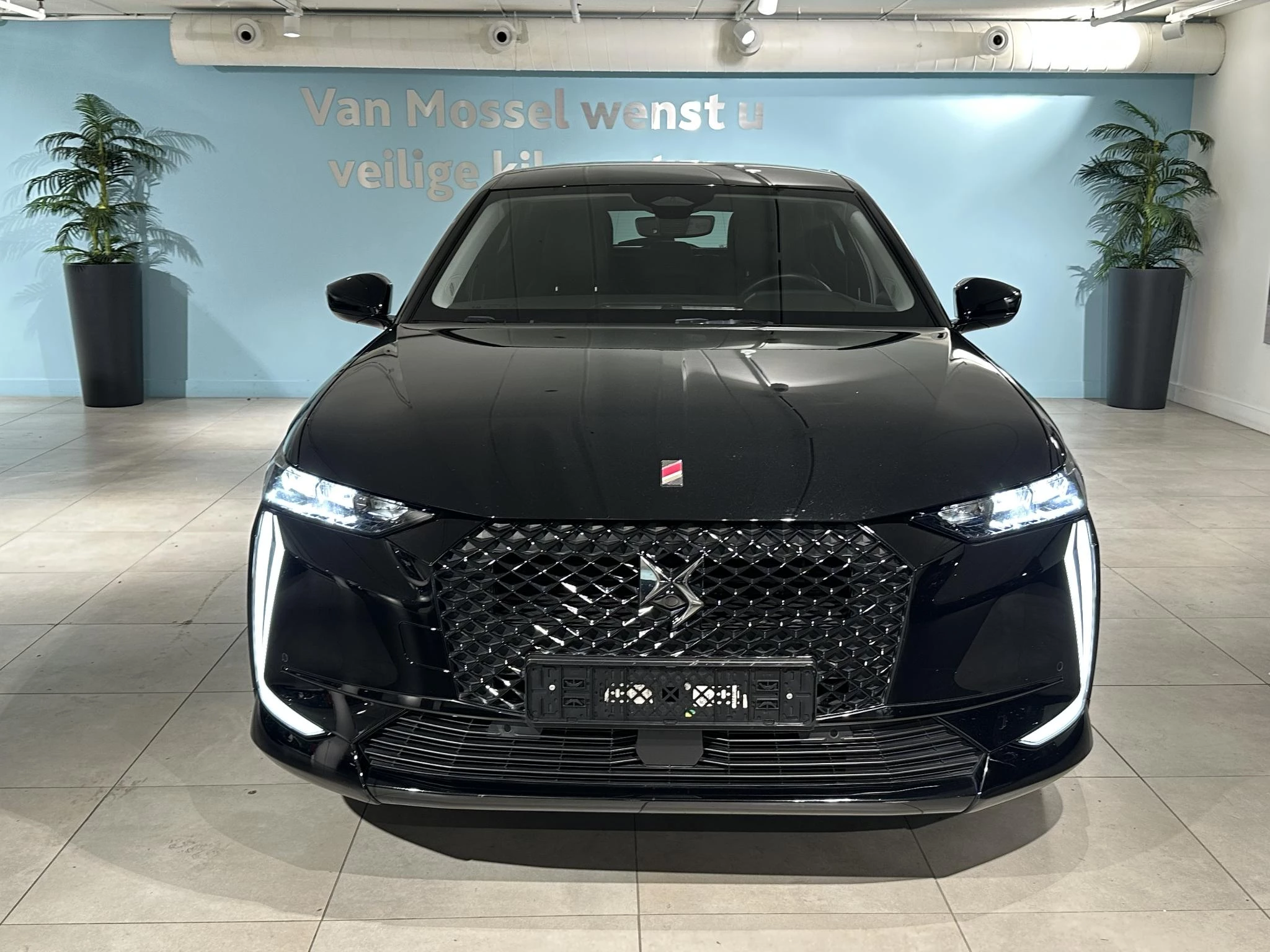 DS-DS 4-image-1