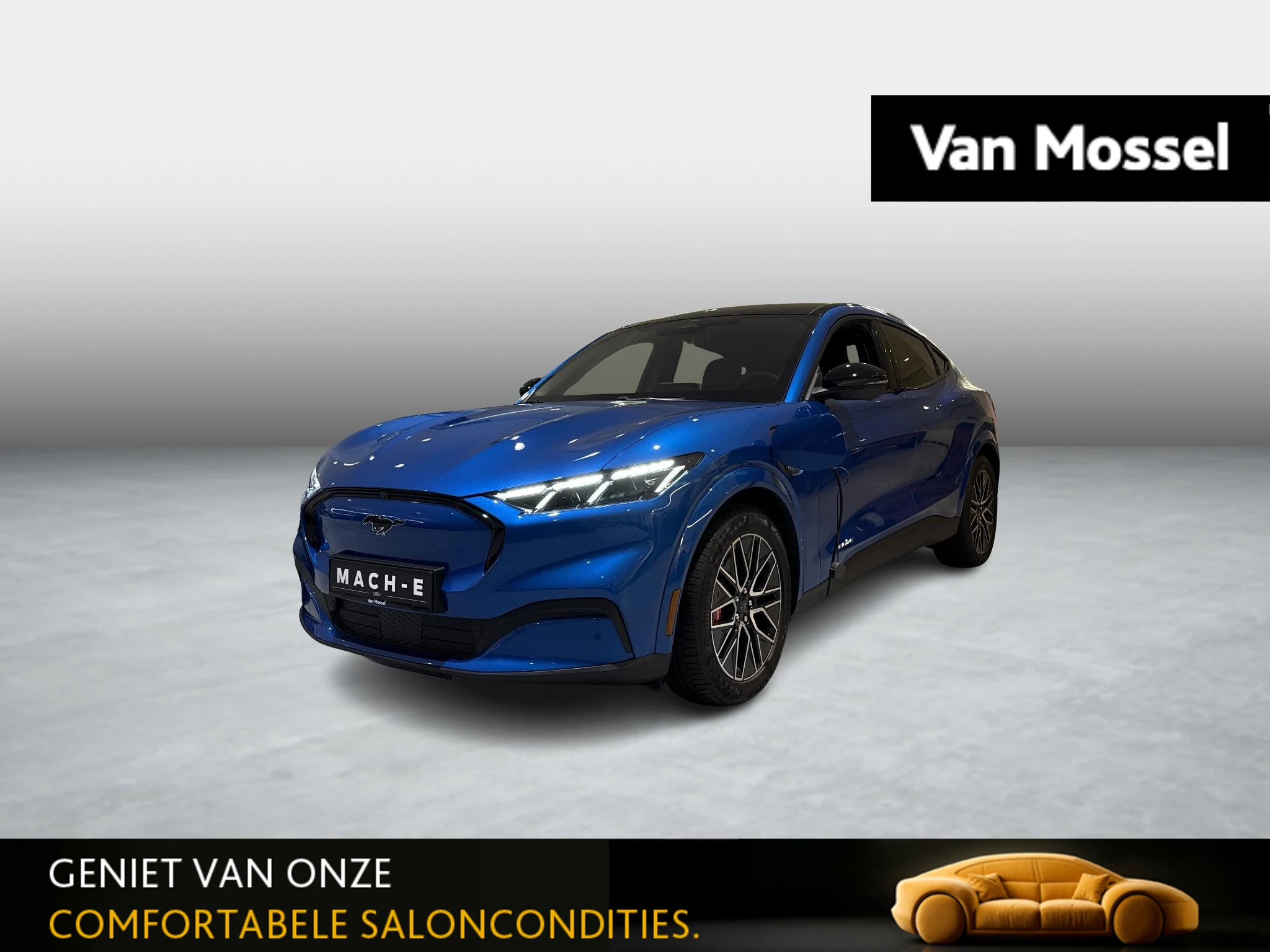 Ford-Mustang Mach-E-image-0