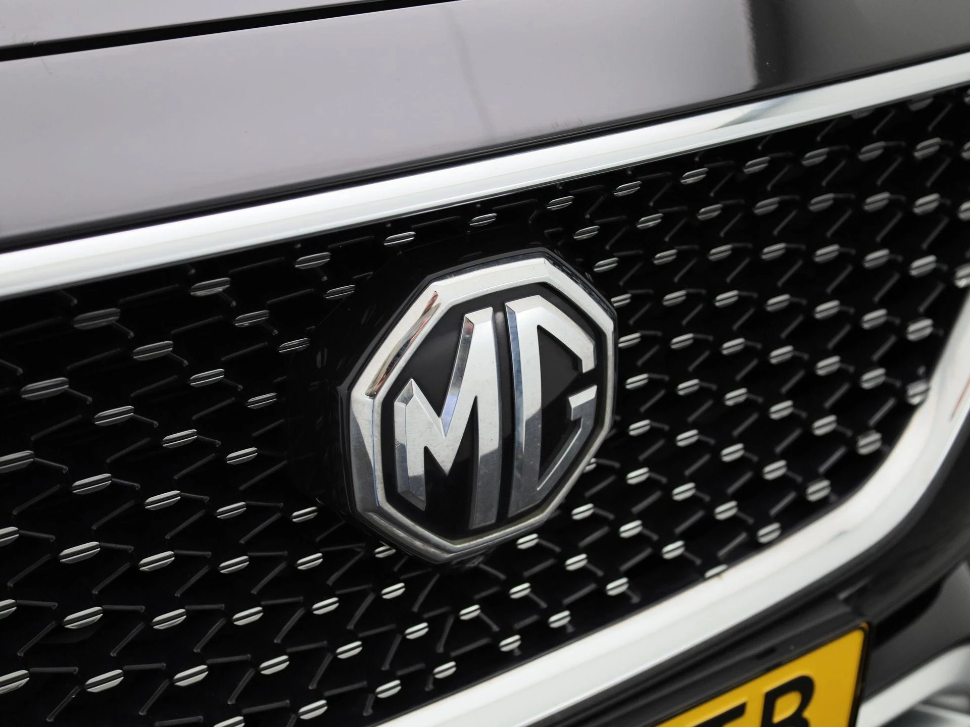 MG-EHS-image-37