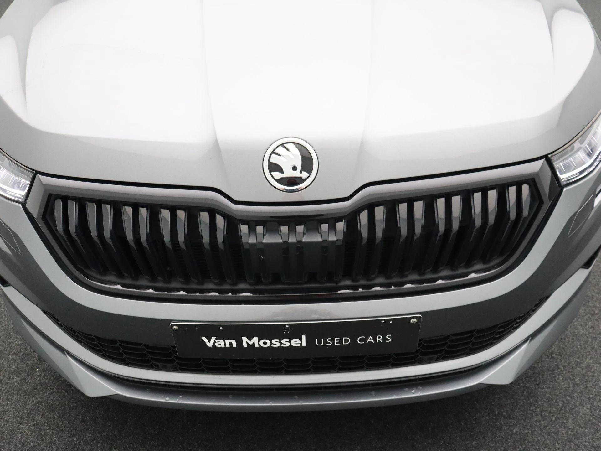 Škoda Kodiaq 1.5 TSI DSG Sportline + 5-ZIT + PANORAMISCH DAK + TREKHAAK +