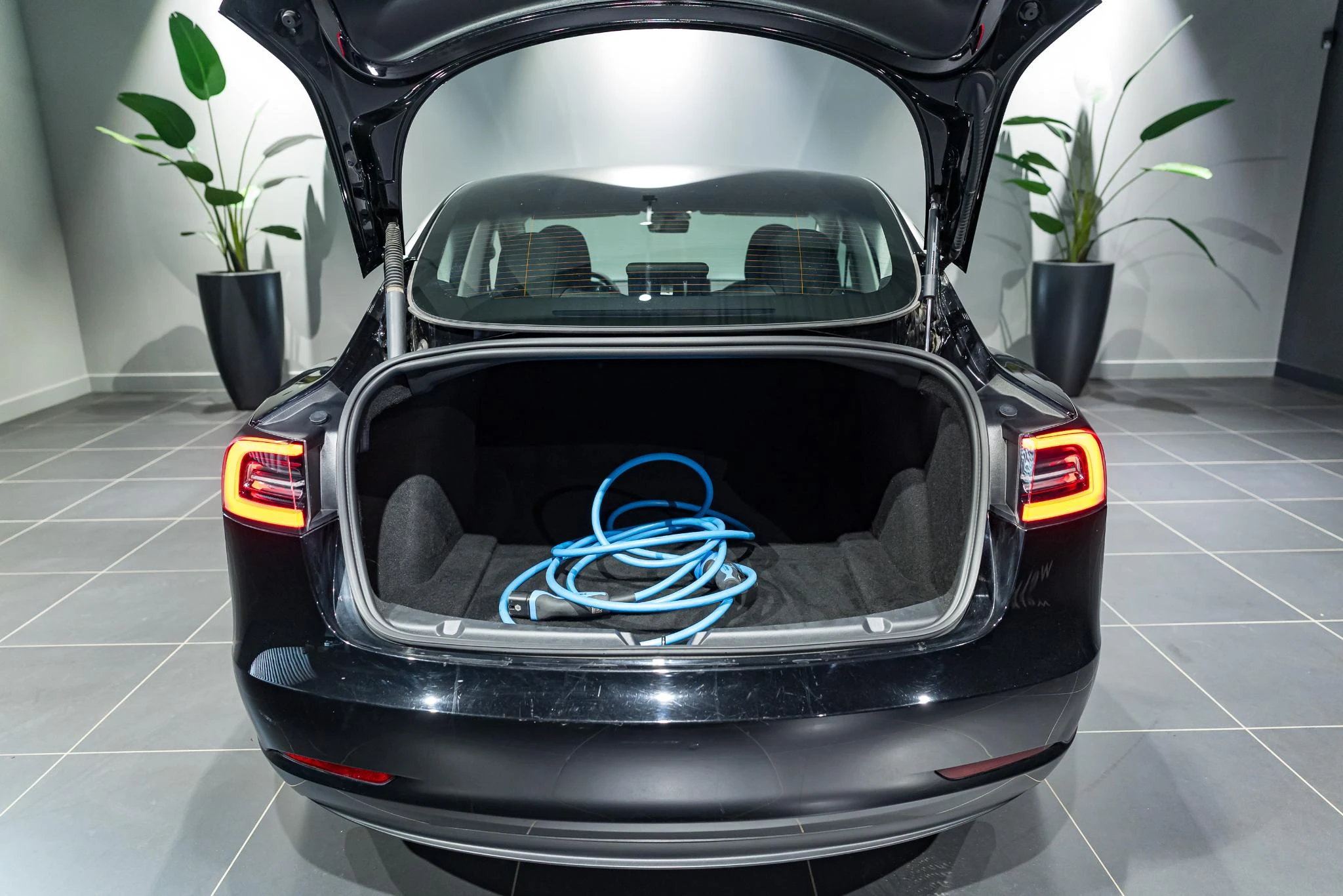 Tesla-Model 3-image-19