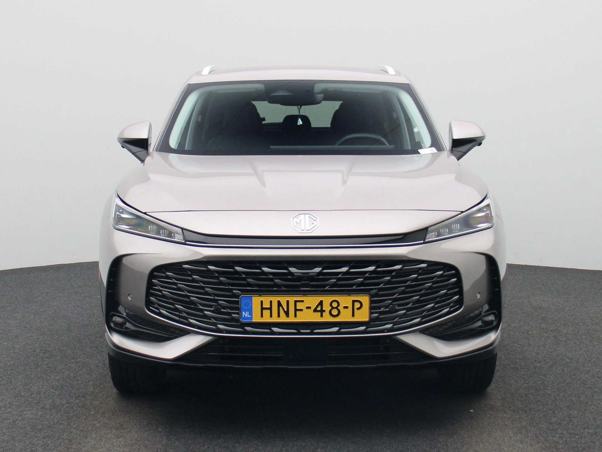 MG-HS-image-2
