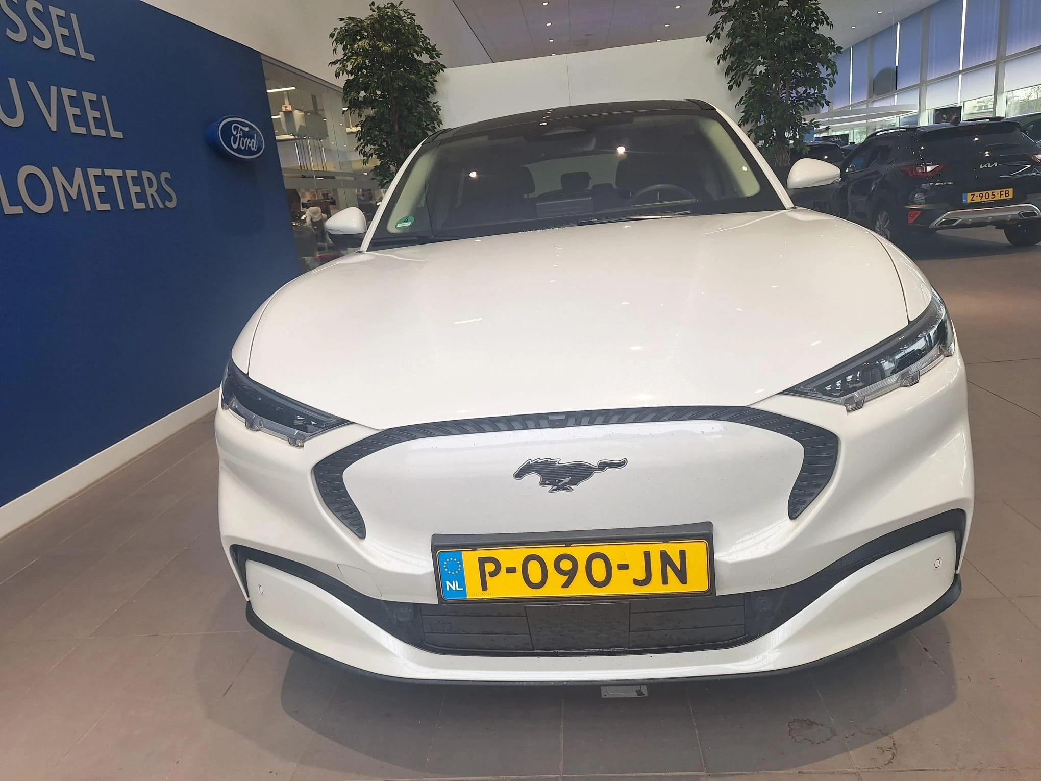 Ford-Mustang Mach-E-image-1