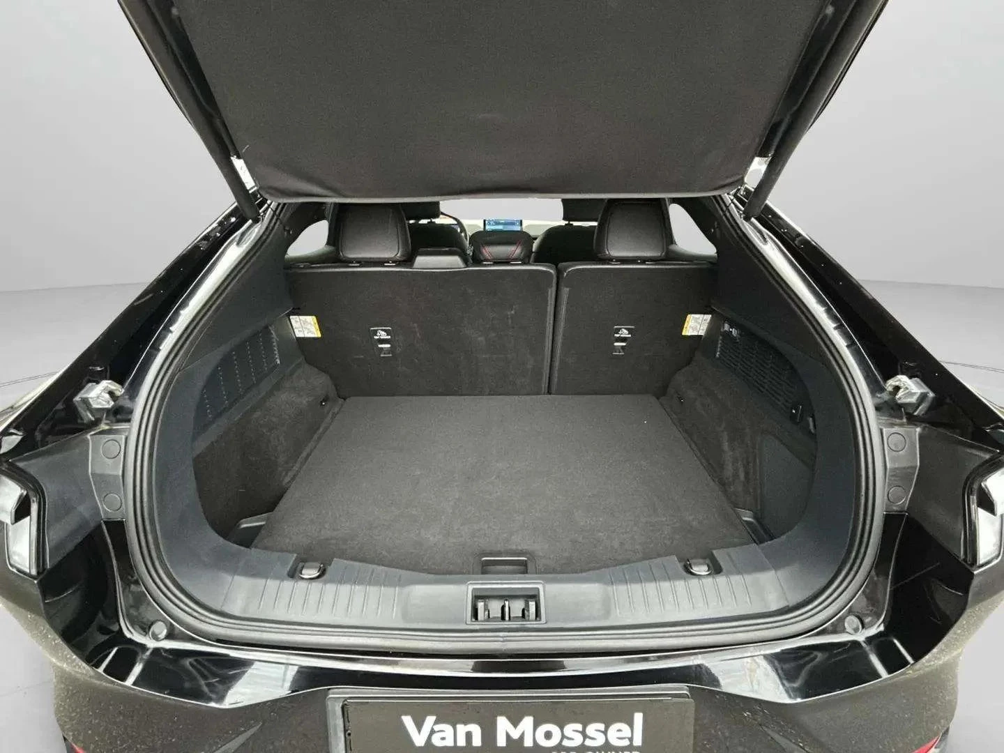 Ford-Mustang Mach-E-image-22