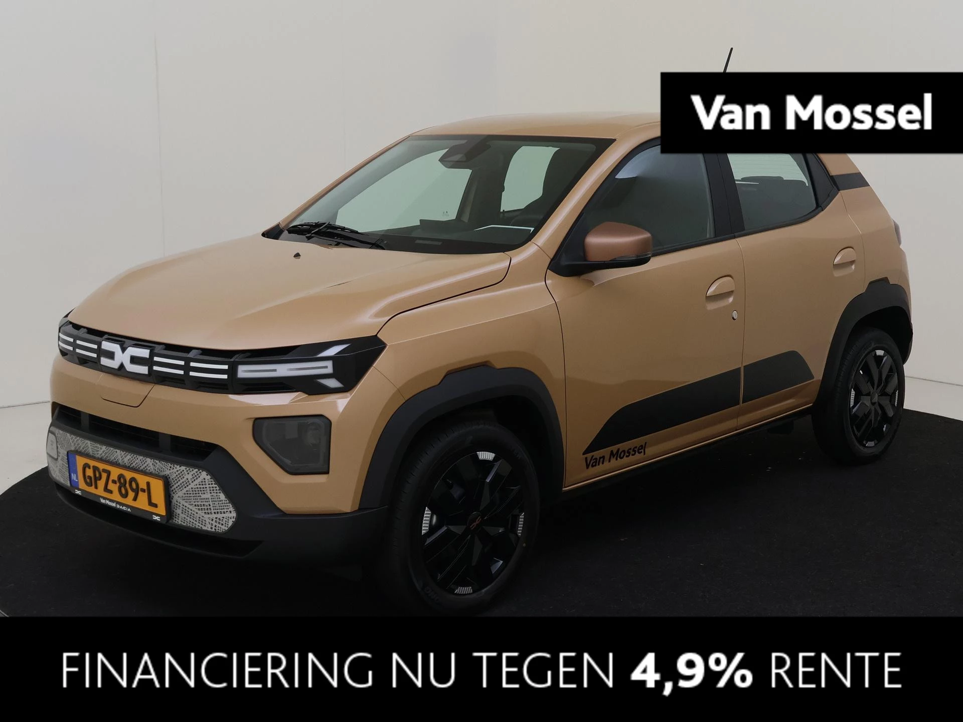 Dacia-Spring-image-0