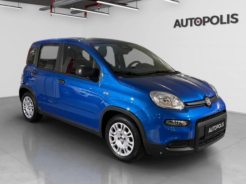 Fiat-Panda-image-17