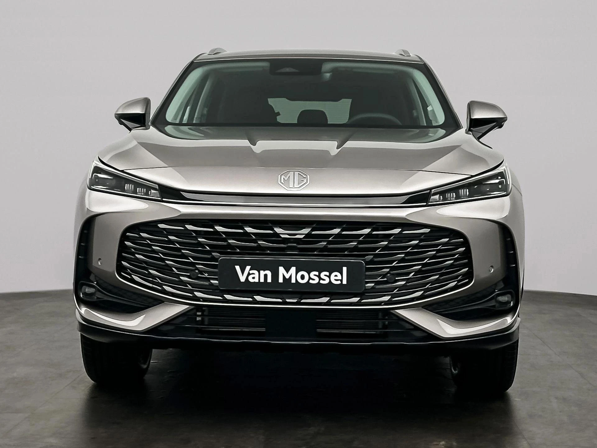 MG-HS-image-5
