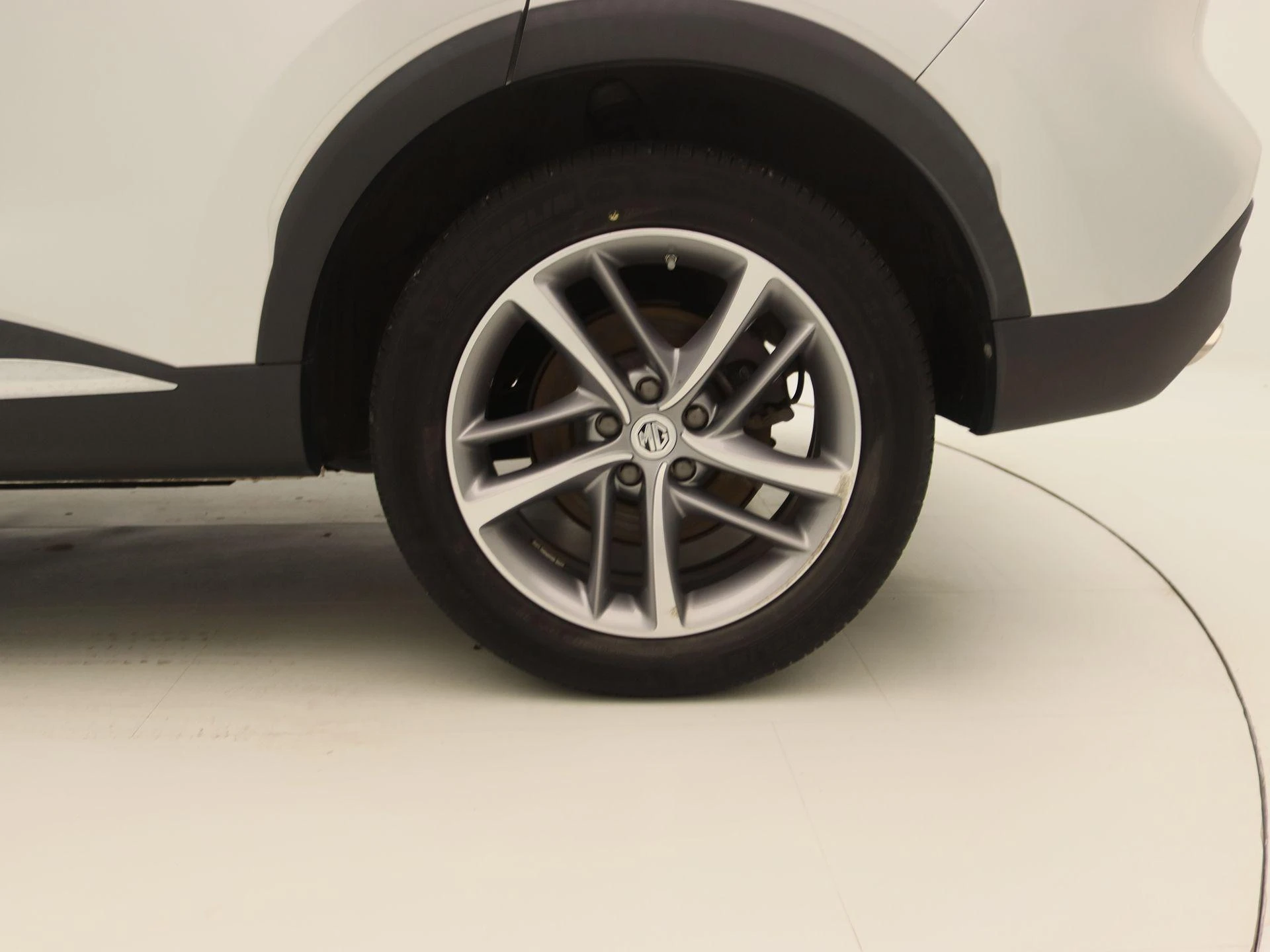 MG-EHS-image-15