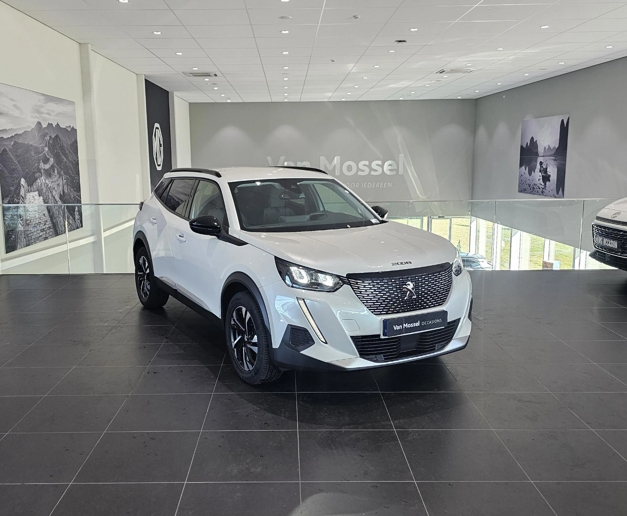 Peugeot-2008-image-2